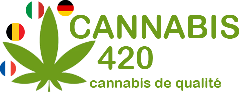 Cannabis 420