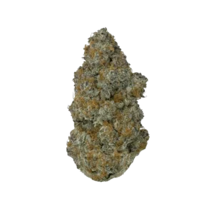 THCP GMO